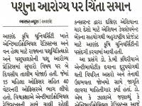 એન્ટીબાયોટિકનો દુરુપયોગ માનવ પશુના આરોગ્ય પર ચિંતા સમાન