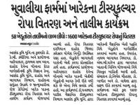 મુવાલીયા ફાર્મમાં ખારેકના ટીસ્યુકલ્ચર રોપા વિતરણ અને તાલીમ કાર્યક્રમ