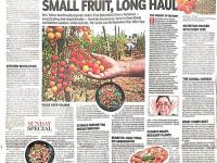 From Andes To Anand Small Fruit, Long Haul