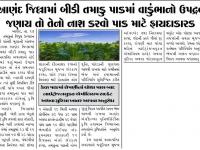 આણંદ જિલ્લામાં બીડી તમાકુ પાકમાં વાકુંભાનો ઉપદ્રવ જણાય તો તેનો નાશ કરવો પાક માટે ફાયદાકારક