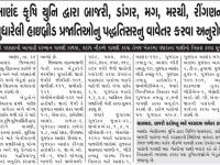 આણંદ કૃષિ યુનિ દ્વારા બાજરી, ડાંગર,મગ,મરચી,રીંગણની સુધારેલી હાઇબ્રીડ પ્રજાતિઓનું પદ્ધતિસરનું વાવેતર કરવા અનુરોધ